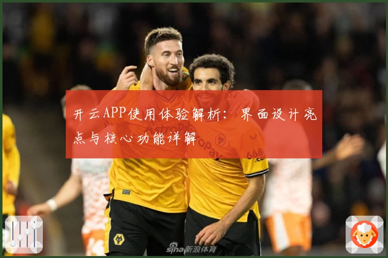 开云APP使用体验解析：界面设计亮点与核心功能详解